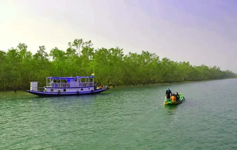 Sundarban 1 Day Tour Package